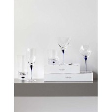 Champagne Flute Set